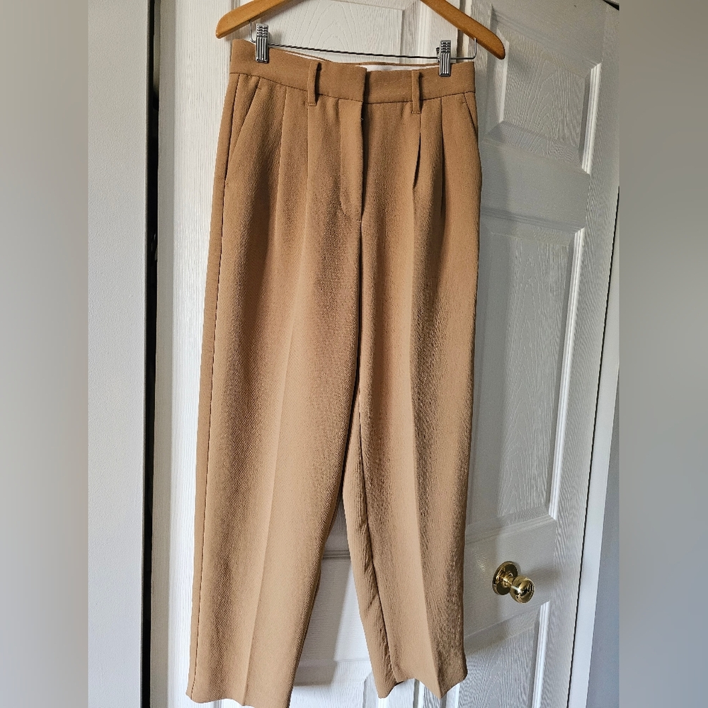 Wilfred Tan Pleated Pants